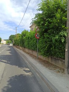 Lire la suite à propos de l’article La végétalisation de la ville reste une priorité et un enjeu écologique majeur.