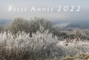 Lire la suite à propos de l’article Belle année 2022 !