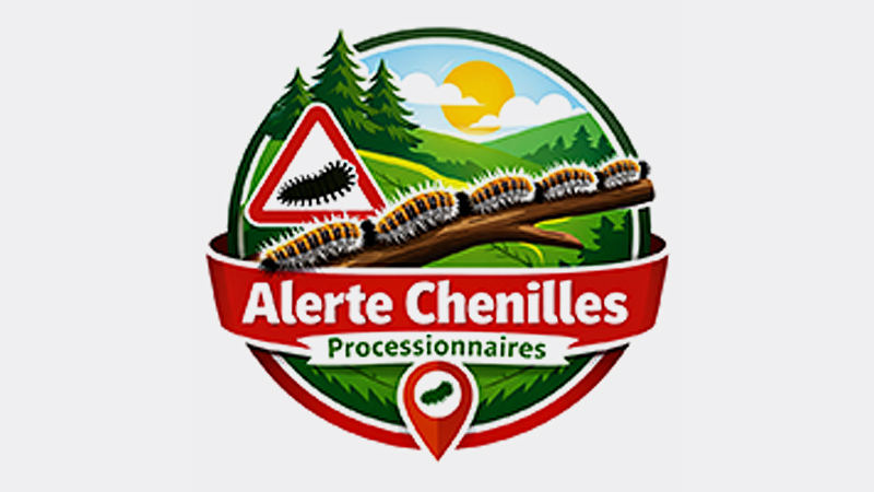 Chenille processionnaires Urgences vétérinaires